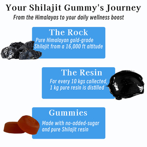 Gummies OEM Beauté Pure Shilajit de l'Himalaya Or avec Résine d'Asphaltum Punjabianum pour Booster l'Endurance, la Force et Réduire la Fatigue - Product Image 3