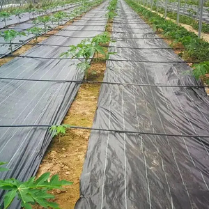 3x50ft Barrière contre les mauvaises herbes <span class=keywords><strong>Tissu</strong></span> de paysage Bloc de mauvaises herbes Jardinage Tapis de couverture de sol <span class=keywords><strong>Tissu</strong></span> <span class=keywords><strong>géotextile</strong></span> tissé pour jardin d'usine - Product Image 1