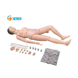 Maniquí de <span class=keywords><strong>Cuerpo</strong></span> <span class=keywords><strong>Humano</strong></span> Anatómico para Entrenamiento Médico, Modelo Femenino y Masculino para Enseñanza - Product Image 2