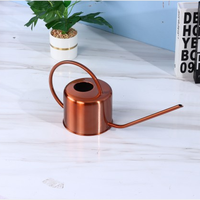 Bidon d'eau extérieur et intérieur en acier inoxydable en métal avec long bec pour le jardinage pour plantes et fleurs Utilisation durable en intérieur et en extérieur