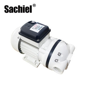 <span class=keywords><strong>Pompe</strong></span> à membrane résistante à la Corrosion d'urée 25L de haute qualité 220V <span class=keywords><strong>Adblue</strong></span> FL425 <span class=keywords><strong>pompe</strong></span> à vide portative à <span class=keywords><strong>prix</strong></span> d'usine pour l'eau propre - Product Image 3