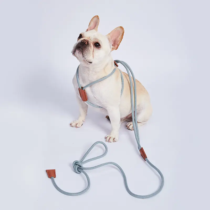 Tali kekang anjing dapat ditarik langsung dari pabrik tali hewan peliharaan