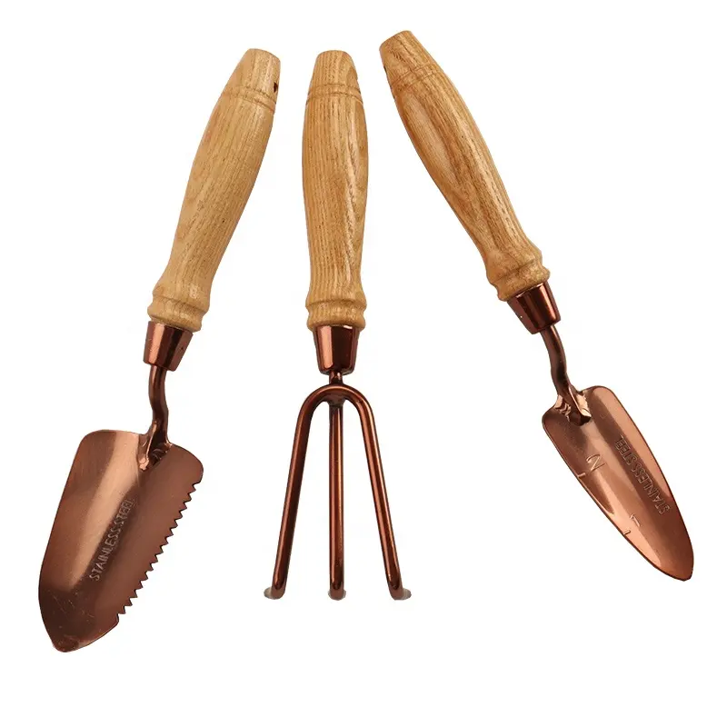Workpro — Kit d'outils de plantation Miniature, rouge, cuivre, bonsaï en acier inoxydable, Mini outils à main de jardin en bois pour plantes succulentes