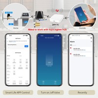 Pengontrol Katup Gas Cerdas Tuya Zigbee Premium, Kontrol Suara Hidup Mati Jarak Jauh, Katup Gas Pintar