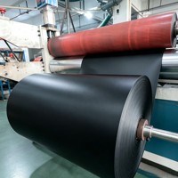 Plaques en plastique solide de couleur personnalisée en PP, PET, PVC à surface mate pour la fabrication de classeurs de papeterie