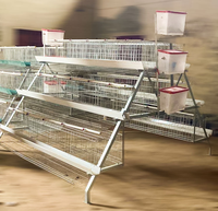 Cage à poules pondeuses de type A pour 160 oiseaux, en fil de fer galvanisé, maillage soudé, nouvelle cage à poulets pour usage domestique