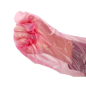 Food Safety Protective Transparent Compostable Disposable PE Gloves Cleaning HDPE Gloves Plastic Polyethylene Gloves