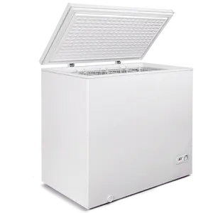 Ce Approved Top Open Deep Freezer Chest For Frozen Ice Cream Store Bd-200