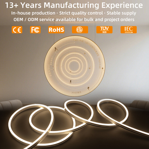 Oem ODM linh hoạt Neon <span class=keywords><strong>LED</strong></span> Strip 0410 0612 0814 1018 mét Silicone Neon dây 12V 24V mềm Glow không thấm nước IP67 - Product Image 2