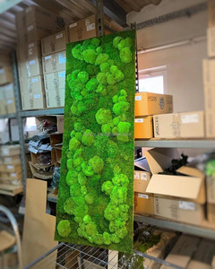 Arte Decorativa da Parete in Muschio di Renna Naturale Preservato, Dimensioni Personalizzate 15X20 cm, Design Decorativo Naturale per <span class=keywords><strong>la</strong></span> Casa - Product Image 5