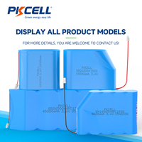 Batterie au lithium ER18505+HPC1520 3.6V 4000mAh, pack d'énergie fiable pour les compteurs intelligents d'eau et de gaz NB-IoT