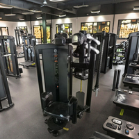 Appareil de musculation professionnel en acier Q235, réglable en hauteur, avec pile de poids de 80 kg, pour entraînement de rotation du tronc