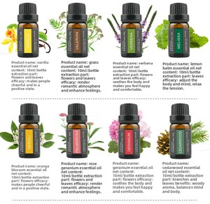 Huiles essentielles végétales naturelles Huile de massage Huile de massage corporel Produits de bien-être Apaisant et anti-irritant - Product Image 6