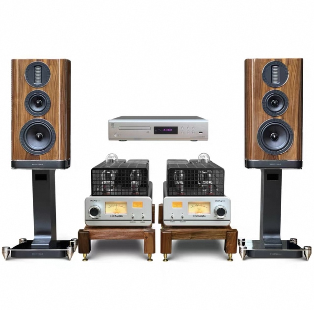 35W HiFi Home Theater Amplifier Big Bungalow Ultra-Clear Wide Audio Receiver Single-Ended 300B Push 845 Classic Tubes Aluminium