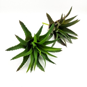 Planta Suculenta Artificial con Decoración de Hoja de Piña <span class=keywords><strong>para</strong></span> Uso en Interiores y Exteriores, Decoración de Jardinería, <span class=keywords><strong>Plantas</strong></span> Suculentas <span class=keywords><strong>Artificiales</strong></span> - Product Image 1