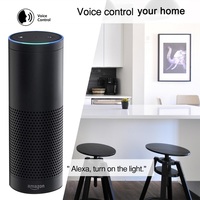 Prise murale intelligente Hooanke standard UK/UE en verre trempé avec écran tactile WIFI, commande vocale et à distance, prise en charge OEM/ODM.