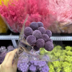Matériaux de bricolage faits à la main en gros : Fleurs séchées, boules dorées, fleurs de Craspedia colorées préservées pour décorations de mariage - Product Image 6