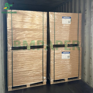 Papier kraft imperméable <span class=keywords><strong>enduit</strong></span> de PE simple/double face 290 g/m² 350 g/m² pour bols à nouilles et à soupe - Product Image 6