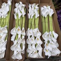 Buket Bunga Calla Lily PU Sentuhan Asli Buatan, Tangkai Tunggal, Warna Putih, untuk Dekorasi Wisuda, Pernikahan, dan Ruang Tamu Rumah
