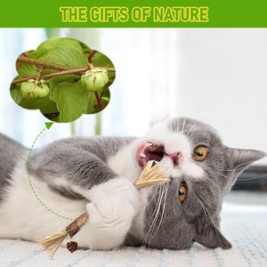 Jouet pour chat en forme de boule en fruits de Polygonum Multiflorum et de raphia Sinensis avec bâtonnet à mordre pour le jeu et l'exercice des molaires - Product Image 4