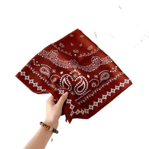 Foulard Quadrato da Donna 2026 in Velluto Verde Menta con Stampa Paisley, Sciarpa per Capelli, Sciarpa da Collo, Hijab 70*70 cm, Supporta Motivi Personalizzati - Product Image 5