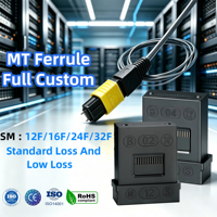 Ferrule multi-fibres moulée par injection de haute précision 12F, ferrule MT multimode à perte standard pour la communication optique