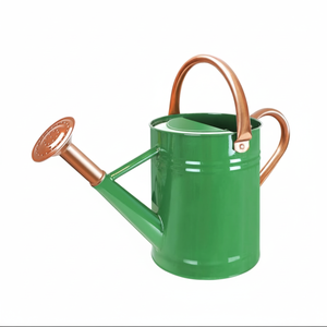 Regadera de metal para plantas, tanque de agua, bebedero de jardín, herramientas de jardinería, diseños de acero, jardín doméstico con venta - Product Image 1