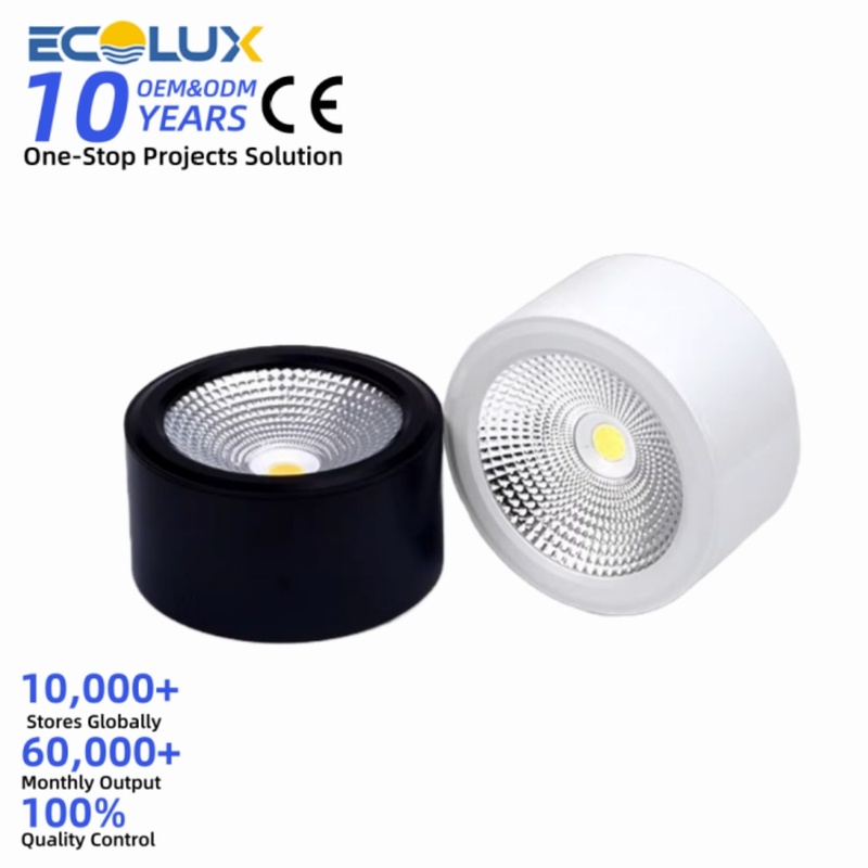 Ecolux Indoor High Lumen Surface Mounted