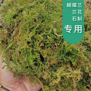 乾燥コケ水モスモスランphalaenopsisデンドロビウム植栽特別な栄養土壌登山ペットタートルマット素材