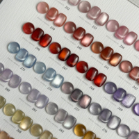 Offre Spéciale Stellar Cat Eye Gel UV Gel pour les ongles OEM/ODM Gel UV pour les yeux de chat Couleurs super brillantes pour les salons de manucure
