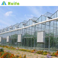 Serre moderne en verre Venlo du Nigeria pour légumes, serre commerciale multi-travées pour fleurs, serre avec système hydroponique pour tomates