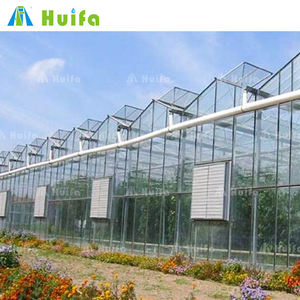 Venlo in vetro Nigeria serra Multi-Span fiori commerciali verde casa con il sistema idroponico di pomodoro - Product Image 6