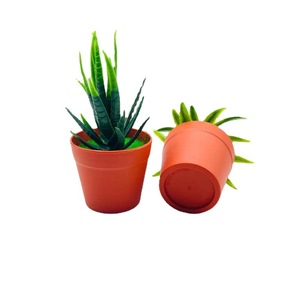 Plantes succulentes artificielles en pot, plantes vertes en plastique pour bureau, petite décoration intérieure, 30g Q-310 - Product Image 5