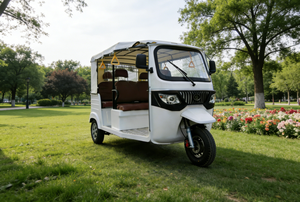 Best Selling Auto Rickshaw 3 Wheel Electric Hybrid <strong>for</strong> Daily Life Tricycle Electric Tricycle Taxi E <strong>Trike</strong> - Product Image 6