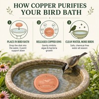 Disque de purification d'eau en cuivre pur pour bain d'oiseaux, 10 cm, gravé au laser, accessoire de décoration extérieure pour jardin