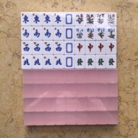 Tuiles de Mahjong en Gelée Acrylique à Succès Commercial avec Subscriptes Anglaises, 144+4 Tuiles de Mahjong en Gelée avec Règles Assorties