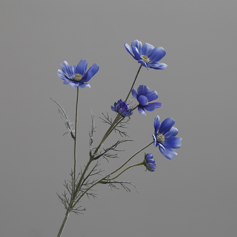 Bleu foncé