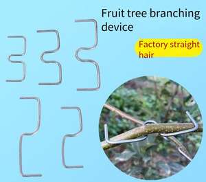 เครื่องมือจัดแต่งกิ่งไม้ผลจากโรงงานโดยตรง สำหรับการจัดทรงกิ่งไม้ผล ทำจากโลหะ - Product Image 3
