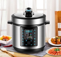 Cuisinière électrique à pression intelligente à double cuve de 5 L, boîtier en acier inoxydable, pour usage domestique et hôtelier, avec fonction de pré-pression