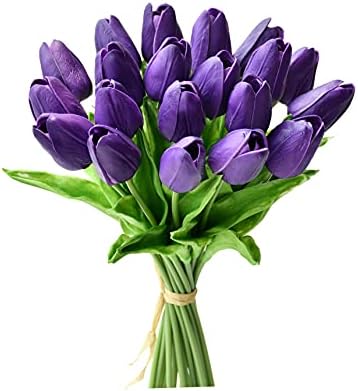 Violet foncé