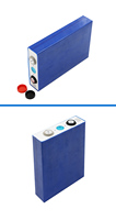 Sel baterai 3.2V Lifepo4 105Ah Lithium besi fosfat sel baterai 3.2v50ah 100AH LiFePO4 paket baterai