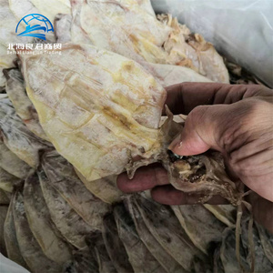 Order <strong>Online</strong> Premium Bulk Frozen Dry <strong>Squid</strong> Snack Seafood Products Vietnam Flavour <strong>Dried</strong> <strong>Squid</strong> - Product Image 2