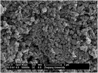 Poudre de fer nano 50 nm 99,9 % Poudre de fer nano de haute pureté