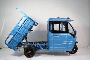 Elion S2 EEC COC katrol roda tiga kabin tertutup elektrik untuk dengan beban 600KG buatan Tiongkok - Product Image 2
