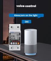 63A TUYA WiFi Medidor inteligente Protector de voltaje Disyuntor Dispositivo de relé de energía Interruptor de control inalámbrico para AC Smart Houseware
