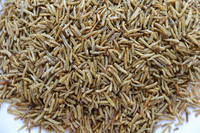 Fabrikant Supply Professionele Heerlijke Gedroogde Droog Maden Huisdier Voedsel Fly Larven