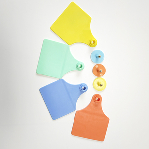 Etiqueta de oreja de ganado Etiqueta Rfid reutilizable Etiqueta de oreja de animal para lector de etiqueta de oreja Rfid <span class=keywords><strong>Pilar</strong></span> de etiqueta de oreja de cerdo - Product Image 2