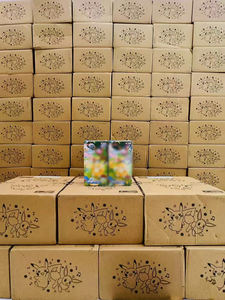 Boîte scellée 151, boîte mystère Poke Mon Pokemoned 151, surprise à collectionner 151 Vol.3, surprise, cartes de jeu chinoises pour enfants - Product Image 3