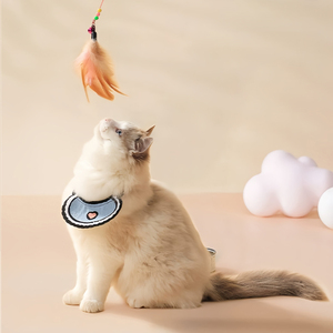 Feather <span class=keywords><strong>Cat</strong></span> Teaser Toy Stahldraht mit Bell - Elastic Rod Zähne Reinigung Interaktiver Haustier Zauberstab für Katzen - Product Image 3