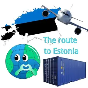 Bestpreis gebrauchter Container-Vertriebsagent von China nach Litauen